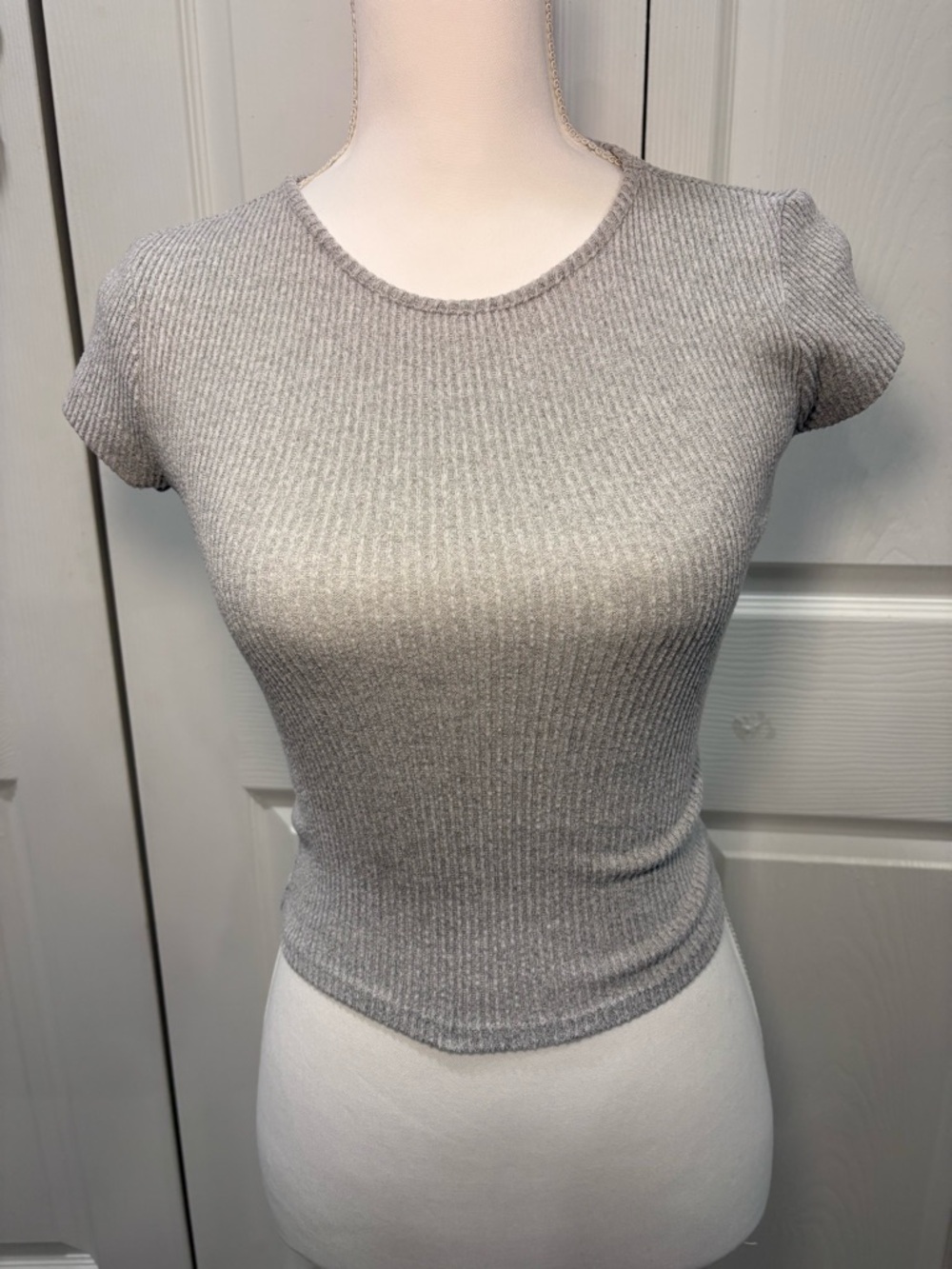 Fitted Grey Ribbed Crop Top - Short Sleeve